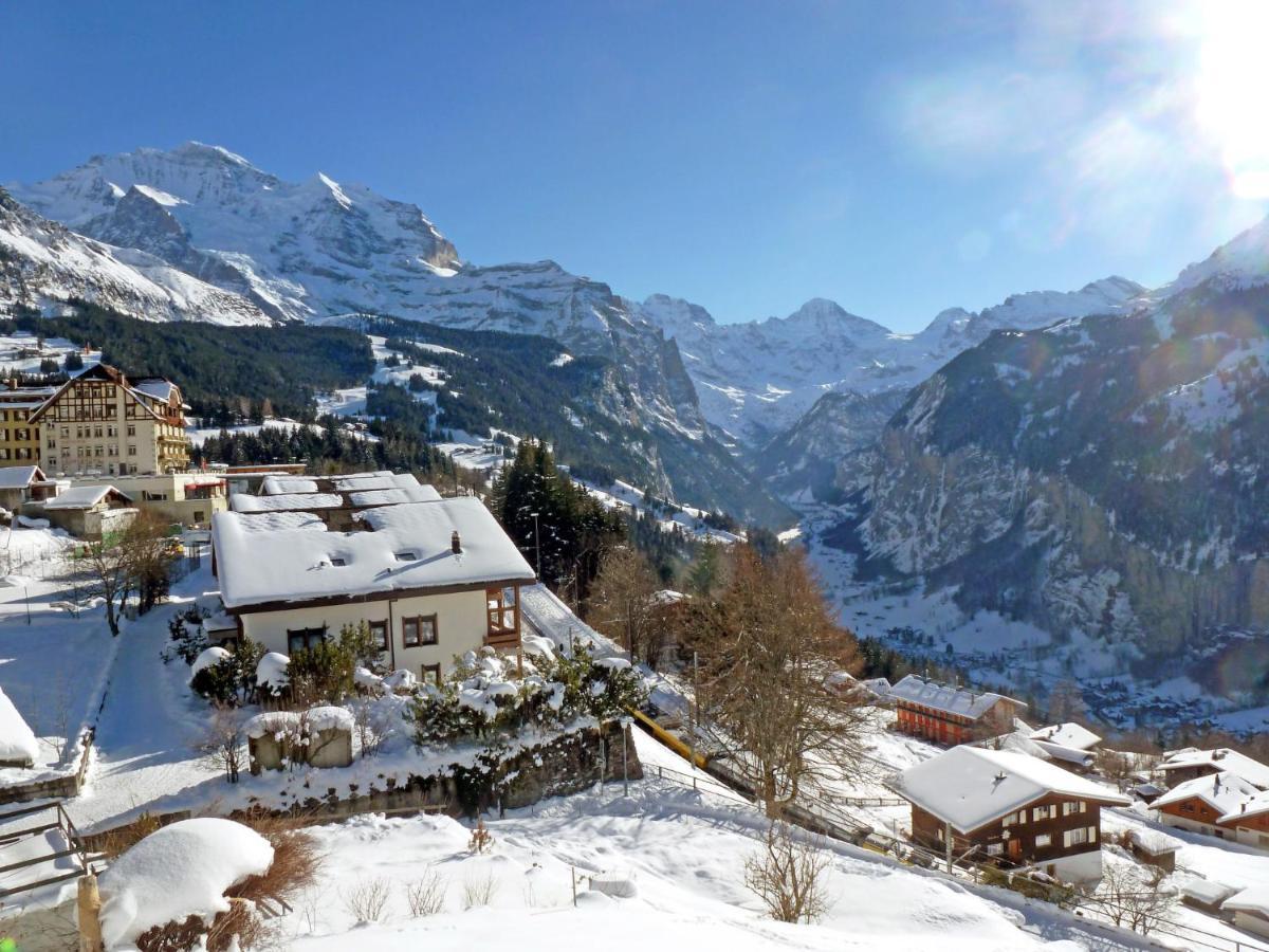 Apartment Panoramapark Soleil Haus D Apt 3 By Interhome Wengen Exteriér fotografie