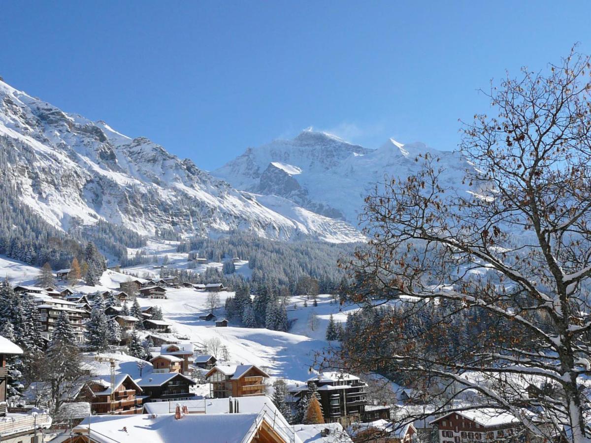 Apartment Panoramapark Soleil Haus D Apt 3 By Interhome Wengen Exteriér fotografie