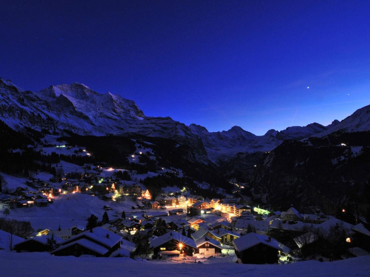 Apartment Panoramapark Soleil Haus D Apt 3 By Interhome Wengen Exteriér fotografie