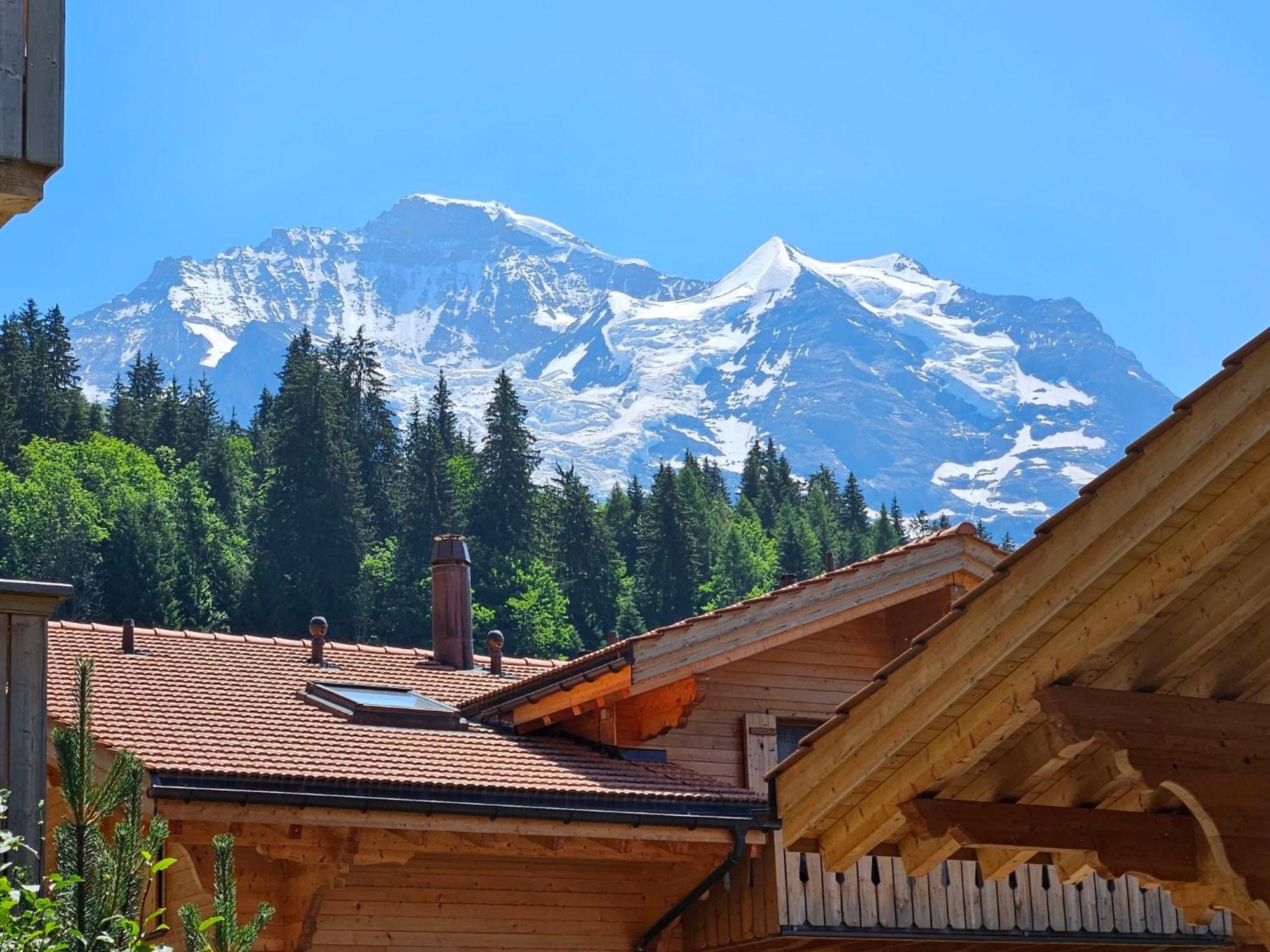 Apartment Panoramapark Soleil Haus D Apt 3 By Interhome Wengen Exteriér fotografie