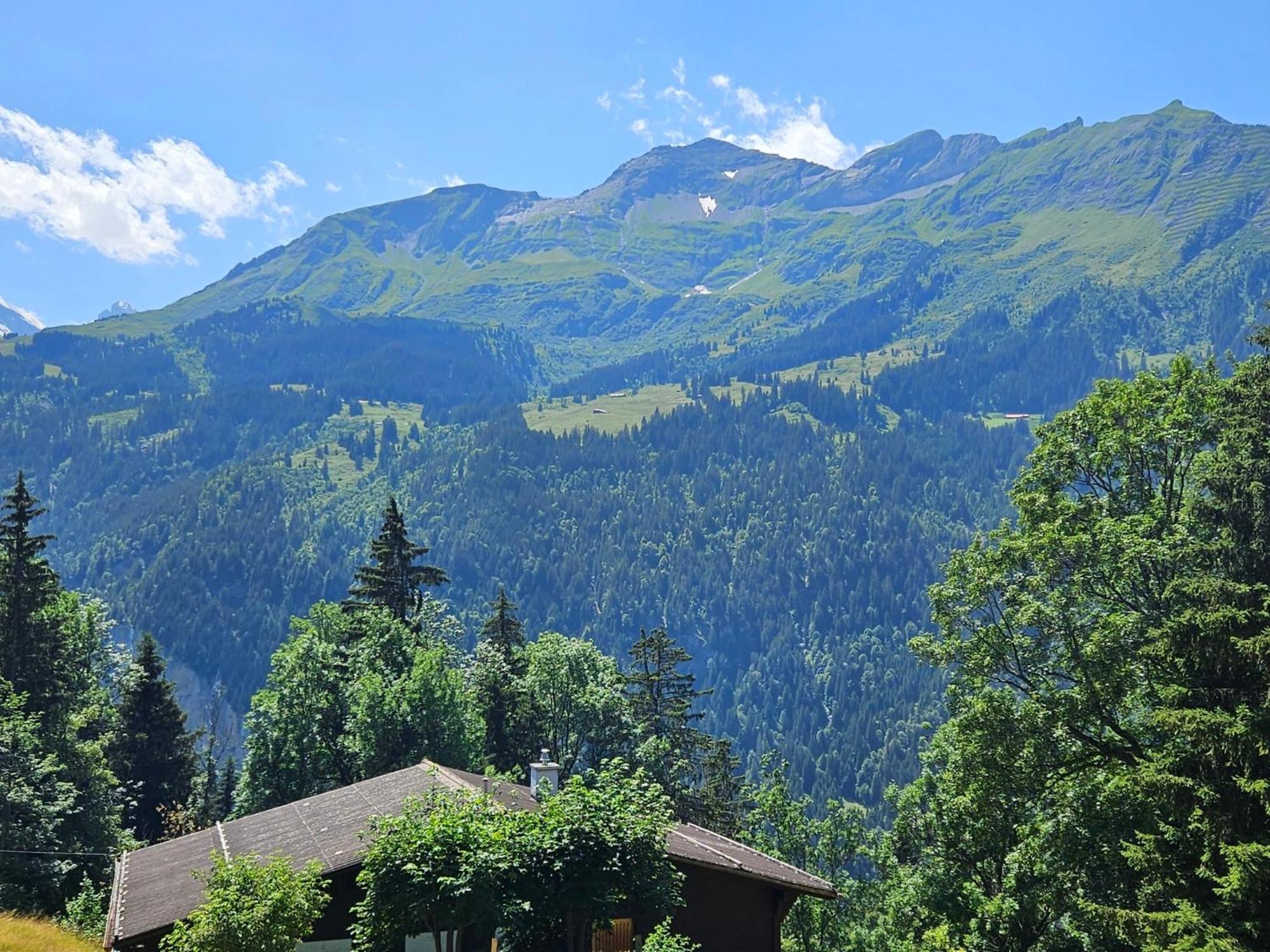 Apartment Panoramapark Soleil Haus D Apt 3 By Interhome Wengen Exteriér fotografie