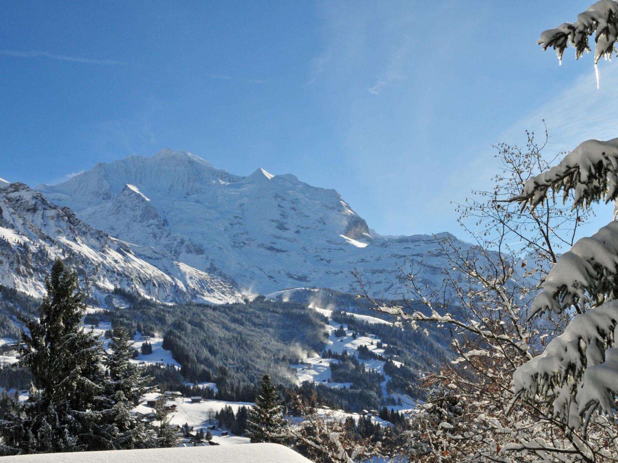 Apartment Panoramapark Soleil Haus D Apt 3 By Interhome Wengen Exteriér fotografie